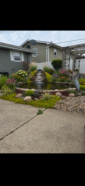 Brian's Landscaping & Koi Ponds